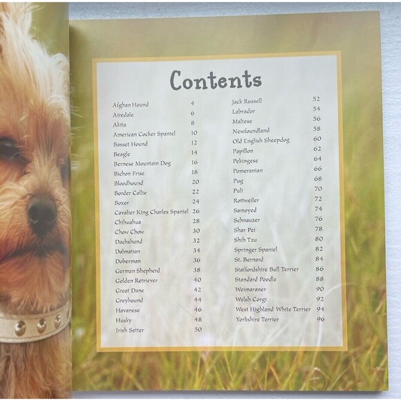 I Love Dogs & Puppies and My Perfect Puppy books, pre-loved - Picture 8 of 11